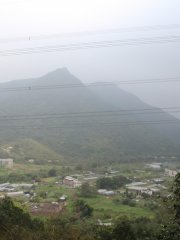 淳樸農莊