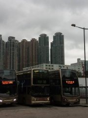 四小龍