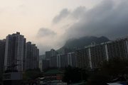 消失的獅子