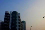 3月1日の日常●左邊蔚藍右邊黃