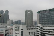 大雨過後的一天