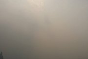 維港的後裔