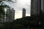龍翔盡處泛白光
