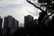 枯藤老樹水點，慈正慈樂人家，山道中心瘦巴。 夕陽西下，乘客人在車上