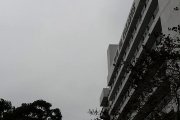 林蔭大道一片黑