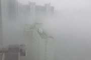 霧中群樓