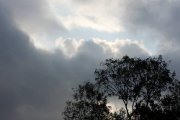 面子升降機直達雲端