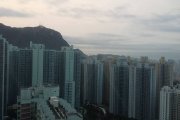 晨光第一線