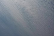 鱗片般的雲