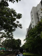 看不清天空，有如看不清前路@英華書院外