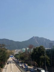 仰瞰獅子山@九龍塘