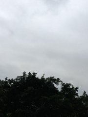 如心心愉雨溼溼@灝景灣
