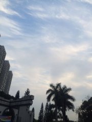 一縷雲絲