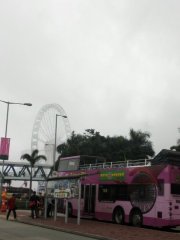 夢幻前的現實@中環碼頭