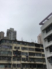 舊了舊了，又新了新了@基道小學