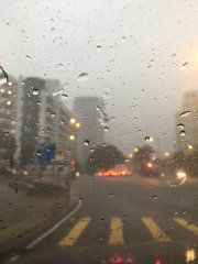 只差一刹紅雨，彼岸則可不至@英華書院外