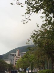 青衣島迷路的山頭@青衣