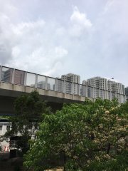 潛藏生機@碧街