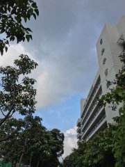 Comfortable weather@英華書院外