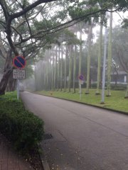 霧裡茂林修竹@科技大學
