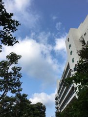 「陽光勃勃」@英華書院外