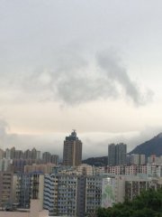 魚躍九龍天@麗港城