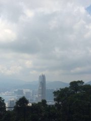 一枝獨秀IFC@白加道