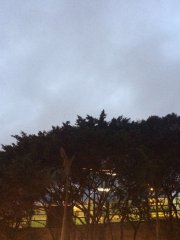 傍晚@觀塘