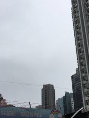 油麻地天色麻麻地@基道小學