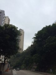 松蔭@採石山