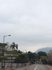 康莊大道？@九龍仔