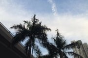 香城@長沙灣