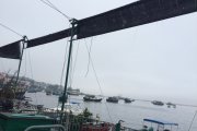 初抵長洲@長洲
