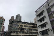 舊了舊了，又新了新了@基道小學