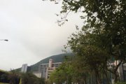青衣島迷路的山頭@青衣