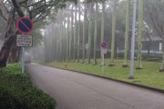 霧裡茂林修竹@科技大學