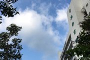 「陽光勃勃」@英華書院外