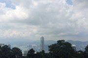 一枝獨秀IFC@白加道