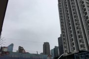 油麻地天色麻麻地@基道小學