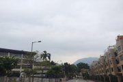 康莊大道？@九龍仔
