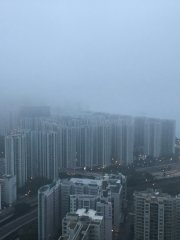西灣河3/8早