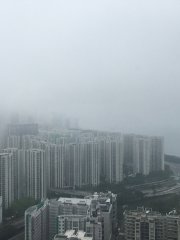 西灣河15/4 早