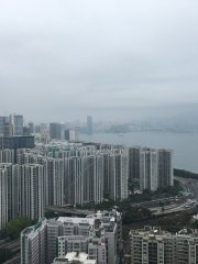 西灣河11/4早