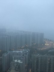 西灣河22/3早