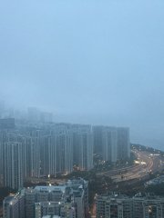 西灣河23/2早