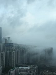 西灣河22/4早