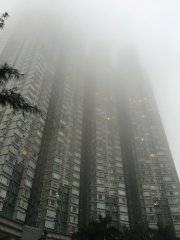 西灣河9/3下午（地面）