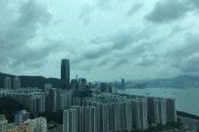 西灣河5月8日下午