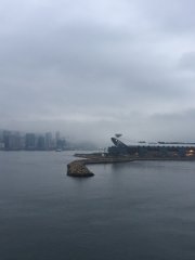 晨