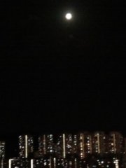 Moonlight 